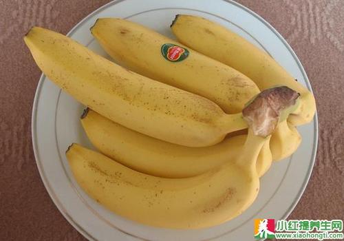 导读：1只香蕉中含有多少钠盐？在今天，我们将研究1只香蕉中钠盐成分的数量