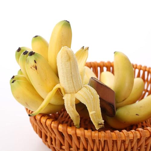导读：本文将讨论现在1000g香蕉有多少根的问题