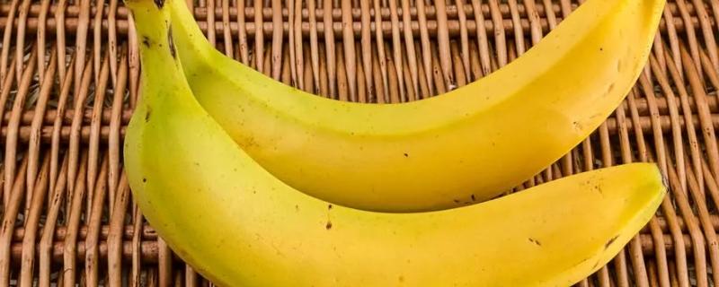 导读：本文将介绍香蕉的水分成分，详细分析各种条件下一个香蕉含水多少克，并通过实际案例来说明水分成分如何影响香蕉的重量