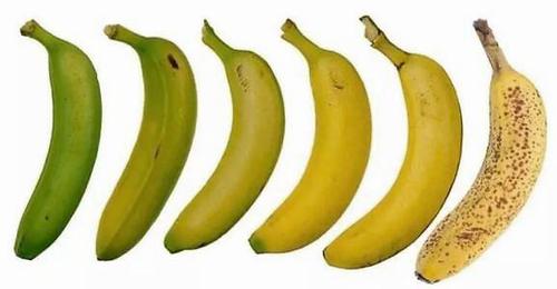 一颗香蕉能留多久(一颗香蕉能留多久种植)