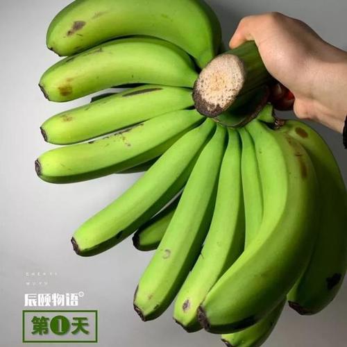 导读：熟的香蕉和生的香蕉有很大的不同它们的口感外观