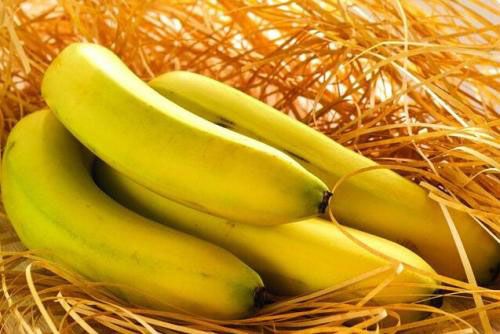 一天吃多少条香蕉治病最好(一天吃多少条香蕉治病最好呀)