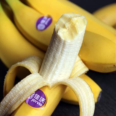 【导读】本文旨在探讨45根香蕉大概多少斤一个问题从物理学角度出发结合营养学和食品安全知识