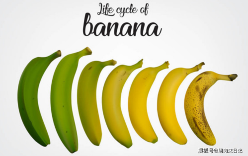 导读：香蕉是大多数人都喜爱的水果营养价值高但是它的摄入量要控制