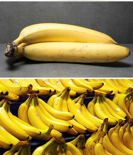500克香蕉大概有多少根(500克香蕉大概有多少根香蕉)