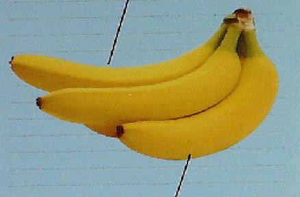 一根香蕉填什么单位(一根香蕉等于多少米)